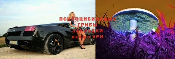 прущие крисы Алексеевка