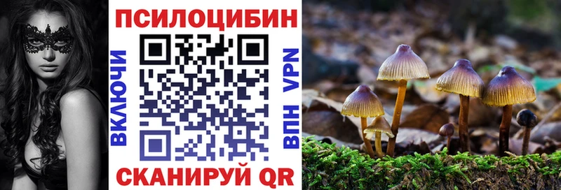 цены наркотик  Калтан  Псилоцибиновые грибы GOLDEN TEACHER 